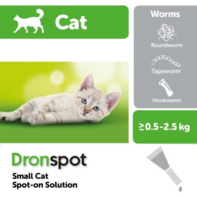Dronspot Kitten UK.jpg