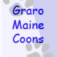graromainecoons