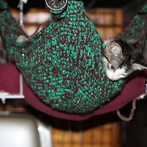 Crochet cat hammock