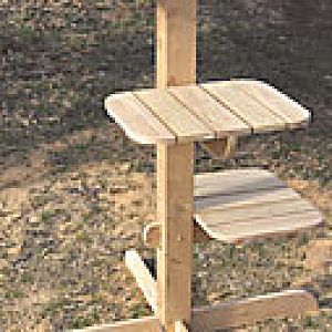 Outdoor Cat Furniture/Play structures: Help Please!