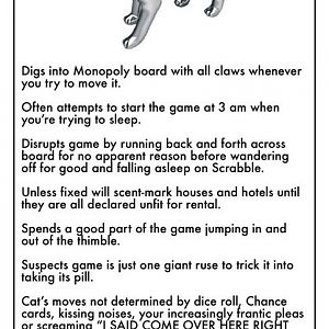 Cat selected as new Monopoly piece