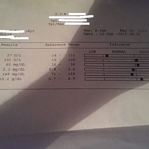 My cat is really sick and went to the vet and got the results need some advice from experts