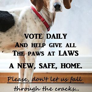 Lanark Animal Welfare Society needs your votes  :)