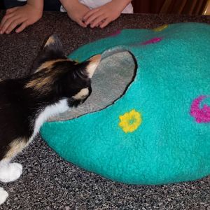 Felted wool cat cave