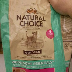 Is it okay to feed my cat with speical wet food from royal canin everyday?