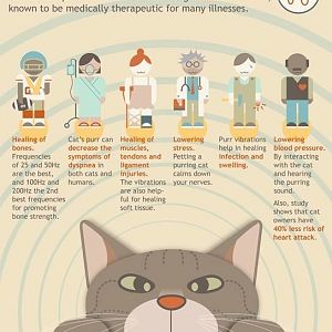 Medical Benifits of Cats :)