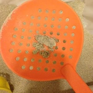I use this kitchen tool to clean the litter box! :D (Pictures Inside)
