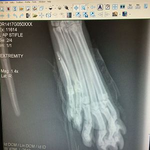 Broken toe... Splint advice