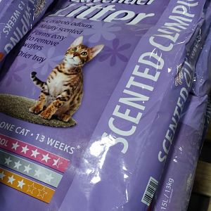 what's your favorite cat litter?