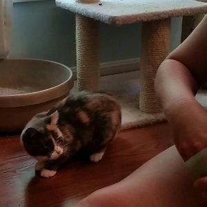 back to fostering