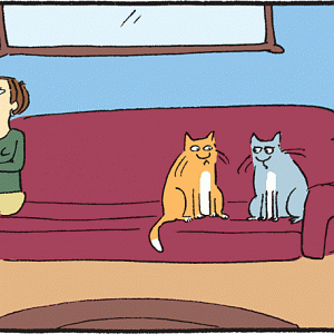 Thought this cat comic was hilarious
