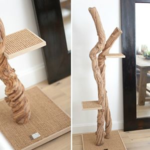 scratching posts and cat towers