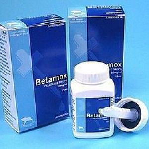 How to use betamox 15 ml?