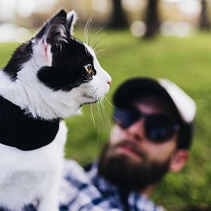Walking your cats, and fleas?
