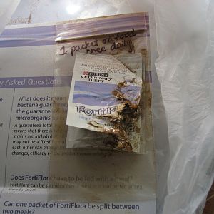 Our Cat chewed through a packet of  FortiFlora