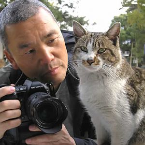 Tthis japanese wildlife photographer is touring the world to take pictures of cats. And it's AMAZING!