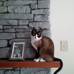 Jade on the fireplace mantle