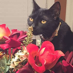Taking time to smell the roses