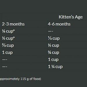12 Weeks Old- How Much to Feed??? (feeding chart from food provided)