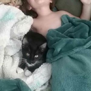 New here! Preggo stay at home mom of two toddlers and one  kitten