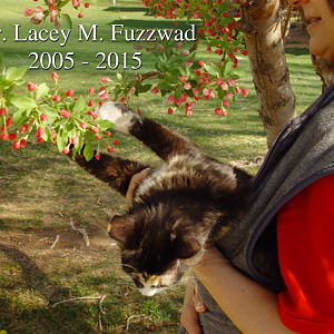 Memorial Page for Dr. Lacey M. Fuzzwad