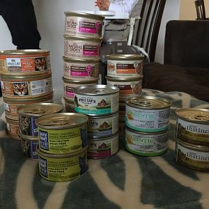 Lilly's Wet Food Haul