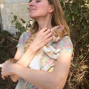TIME SENSITIVE: Looking to find a kitten a home in ISRAEL