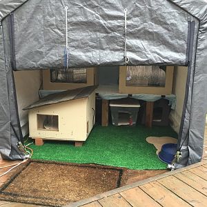 Tip Thread for building outdoor cat shelters.