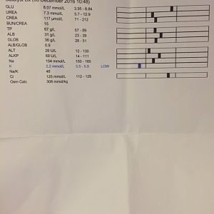 1st Stage Kidney Disease Diagnosed - Anyone understand blood work results?