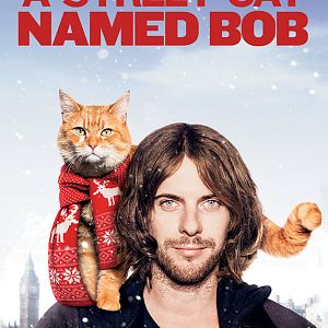 Awesome Movie About a Cat!!!