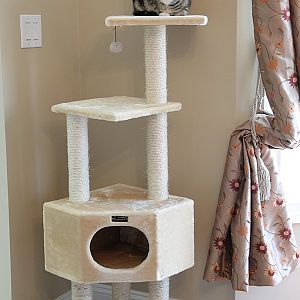 Cat Trees: 17 designs that will make you go "Wow!"