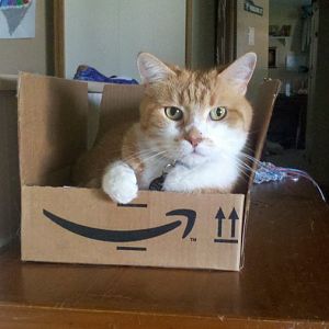 Frisky 08-26-11 Amazon Box.jpg