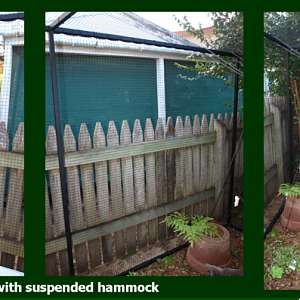 cat enclosure fence and back.png