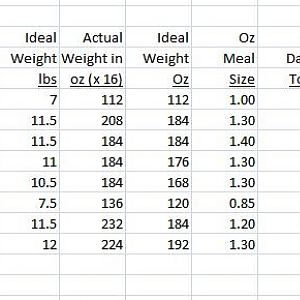 Cats meal size body weight %.JPG
