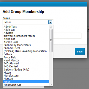 Add group membership Minor october 2013.png