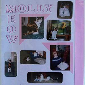 molly4.jpg