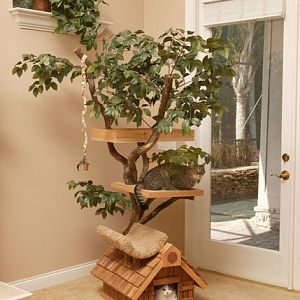 Unique-Cat-Tree-Houses-from-Pet-Tree-House-1.jpg