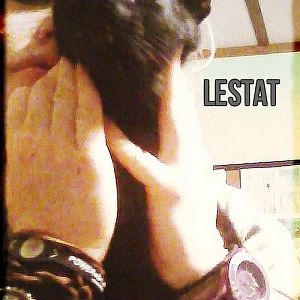Lestat.jpg