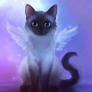 cat blue angel.jpg