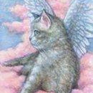 kitty with angel wings 2.jpg