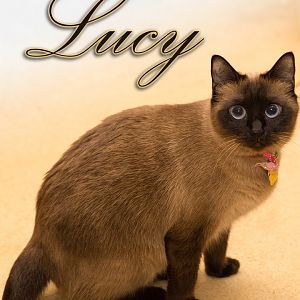 Lucy1Small.jpg