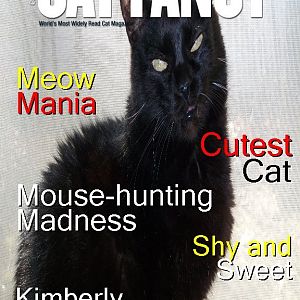 cat fancy mag.jpg