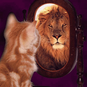 cat-sees-lion-in-mirror-2.gif