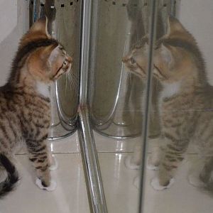 Ginge not sure of her reflection in shower glass 1