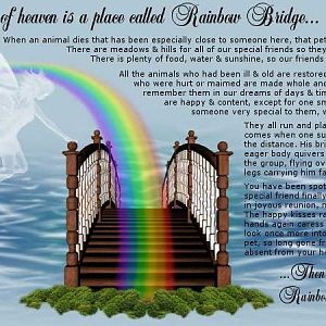 rainbow_bridge.jpg