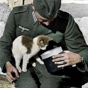 Cat+with+Wehrmacht+officer.jpg