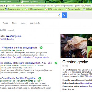 created gecko.png