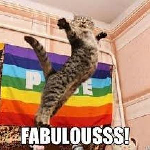 Cat meme Fabulous.jpeg