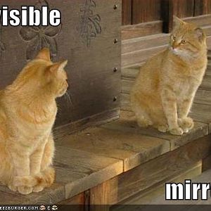 invisible mirror.jpg