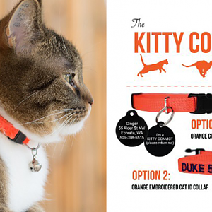 Artefact-Gift-Guide-kitty-convict1.png